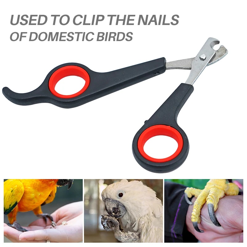 12cm Pet Parrot Nail Scissor D - Grooming Scissors recension och pris
