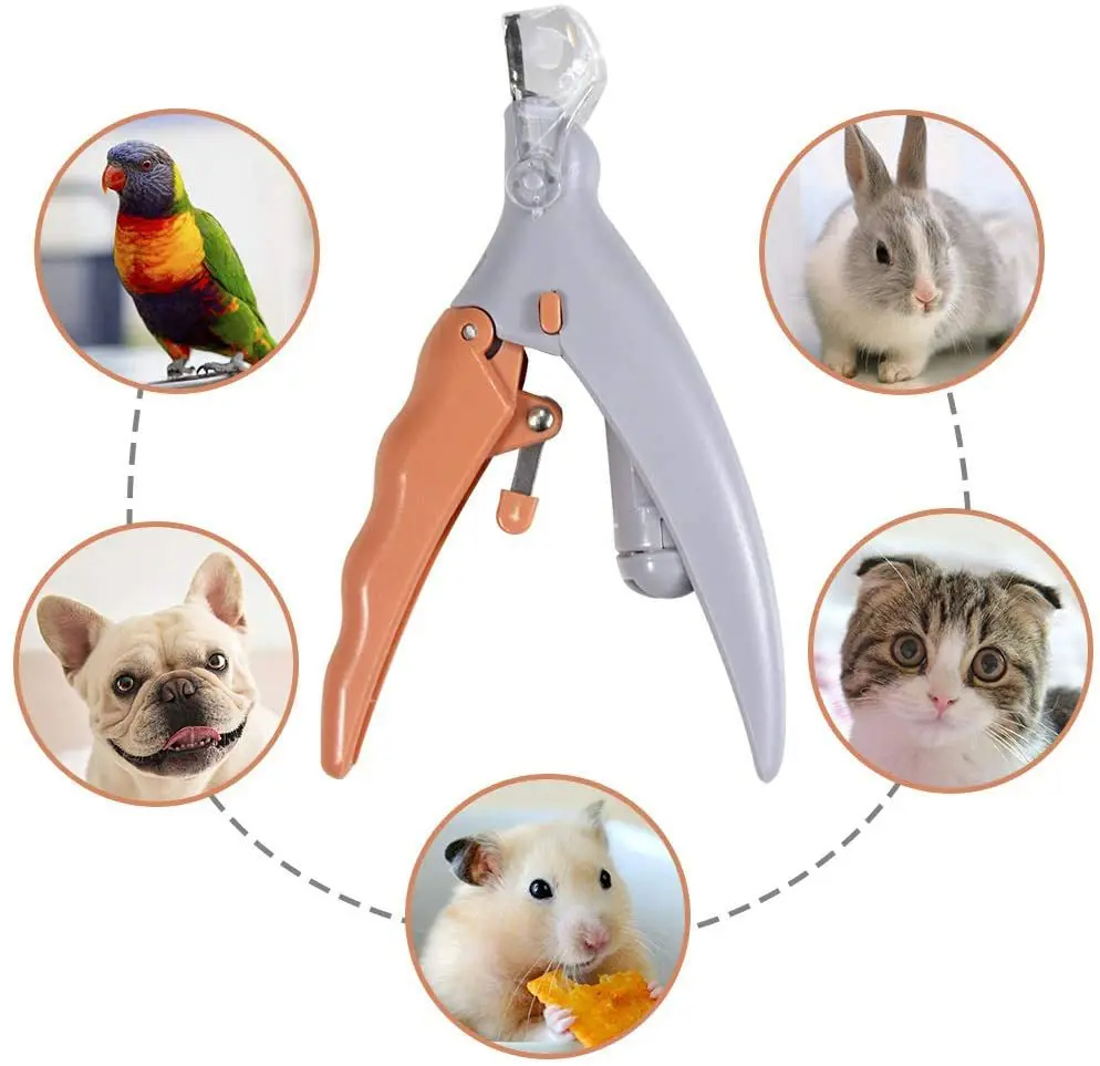 Professional Pet Nail Clipper  - Grooming Scissors recension och pris